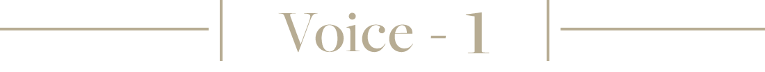 Voice-1