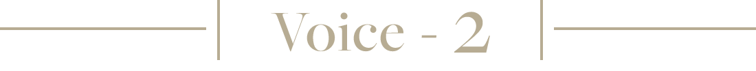 Voice-2