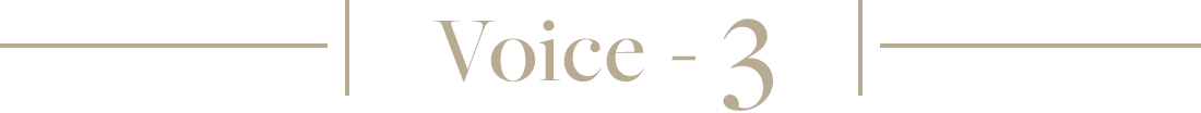 Voice-3